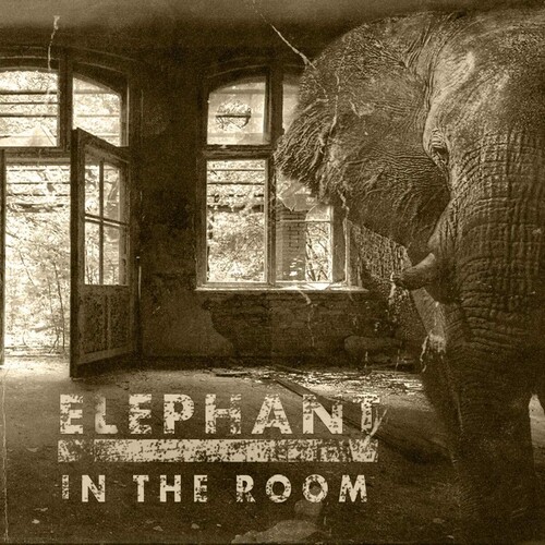 Elephant In The Room