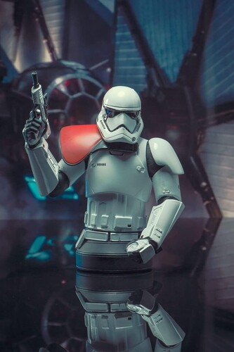 STAR WARS EP9 FIRST ORDER TROOPER OFFICER BUST SET