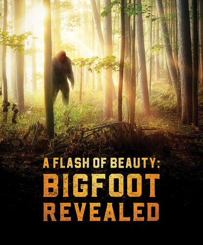Flash of Beauty: Bigfoot Revealed - A Flash Of Beauty: Bigfoot Revealed