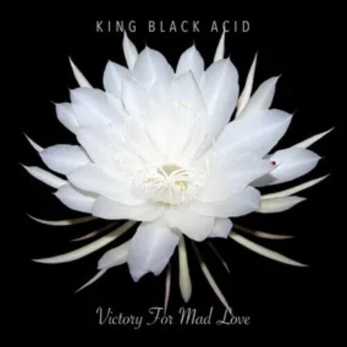 King Black Acid - Victory For Mad Love [Record Store Day] 