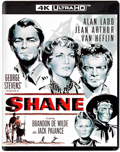 Shane