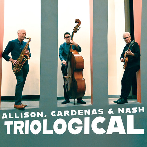 Ben Allison / Cardenas, Steve / Nash,Ted - Triological vinyl record cover