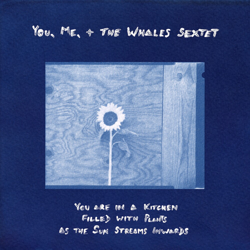 You, Me, + The Whales Sextet - You Are In A Kitchen Filled With Plants As The Sun vinyl record cover