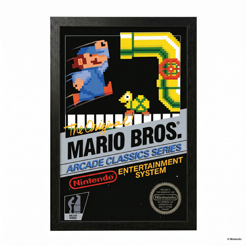 MARIO BROS. - ORIGINAL 11X17 FRAMED GEL COAT