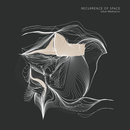 Recurrence Of Space