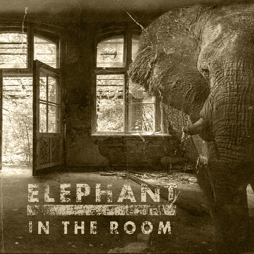 Elephant In The Room