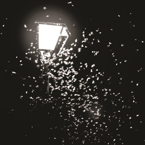 Ten Thousand Swerves /  G & C