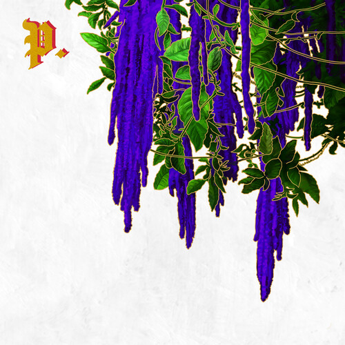 The Great American Novel (Bone & Grey) [Explicit Content]