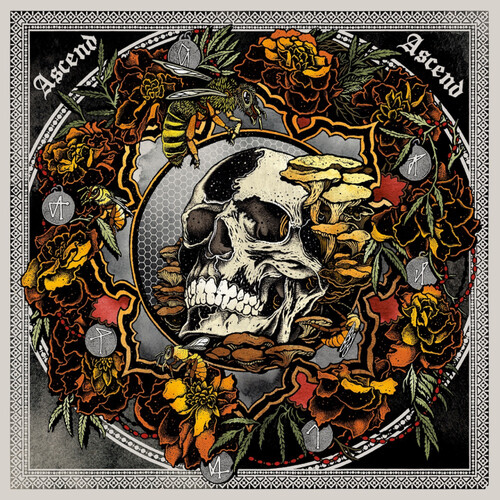 Ascend Ascend: Live In Seattle With Lori Goldston