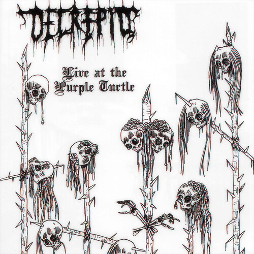Live at the Purple Turtle