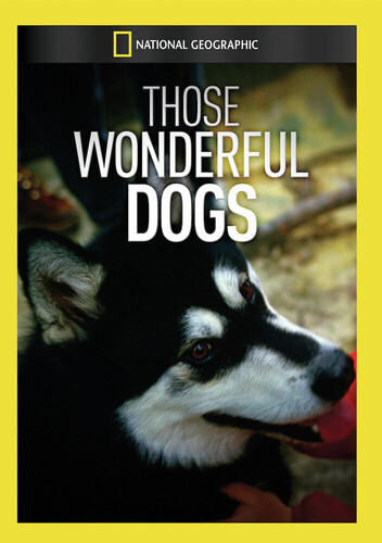 Those Wonderful Dogs