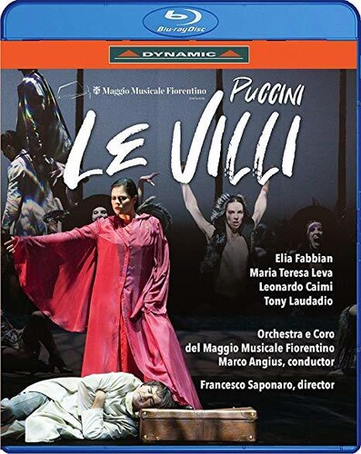 Villi