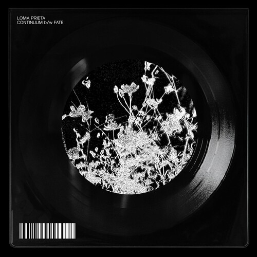 Loma Prieta - Continuum / Fate