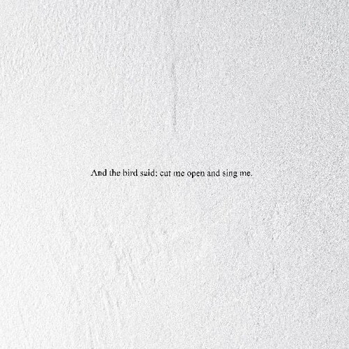 And the Bird Said: Cut Me Open and Sing Me