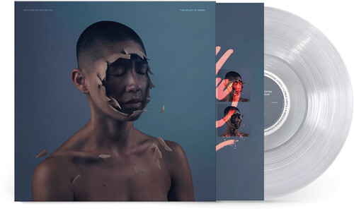 Album Art - Valley Of Vision - Clear Vinyl