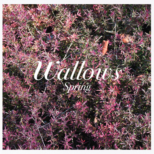 Wallows - Spring (Mod)