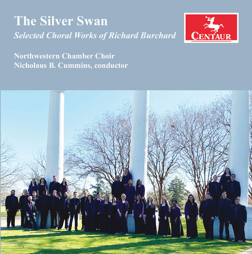 Silver Swan