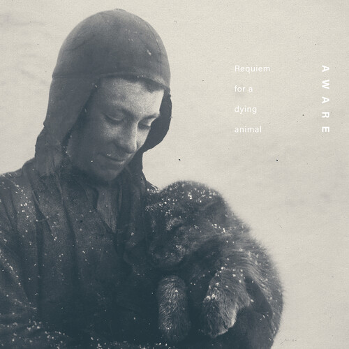 Requiem for a Dying Animal