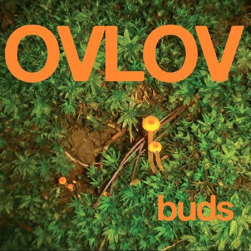 Ovlov - Buds [Colored Vinyl] (Grn)