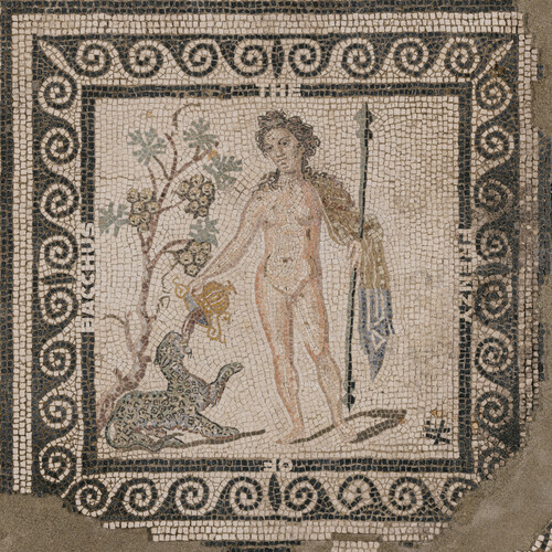 The Frenzy of Bacchus