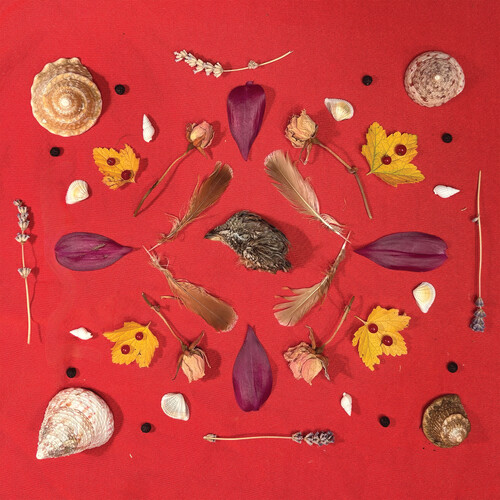 Grouse Head Talisman
