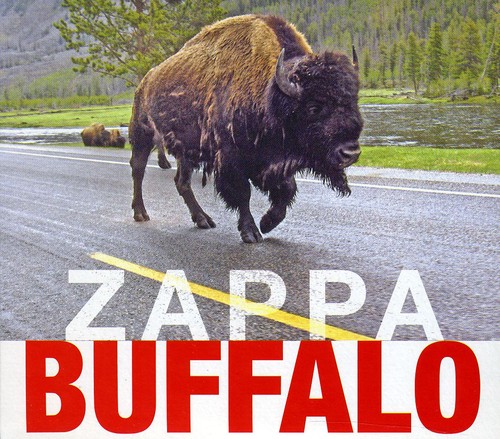Buffalo