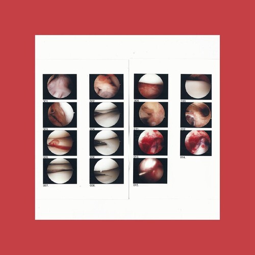 Cradle - Laughing In My Sleep [Download Included]