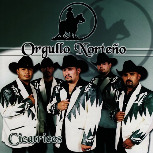 Cicatrices