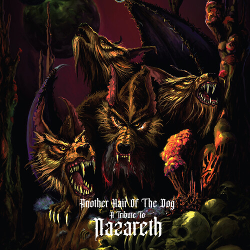 Another Hair Of The Dog - A Tribute To Nazareth B