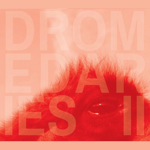 Dromedaries II|Shayna Dulberger/Julius Masri/Keir Neuringer