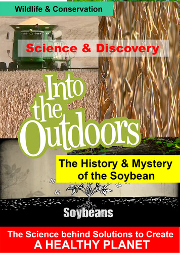 History & Mystery of the Soybean - History & Mystery Of The Soybean / (Mod)
