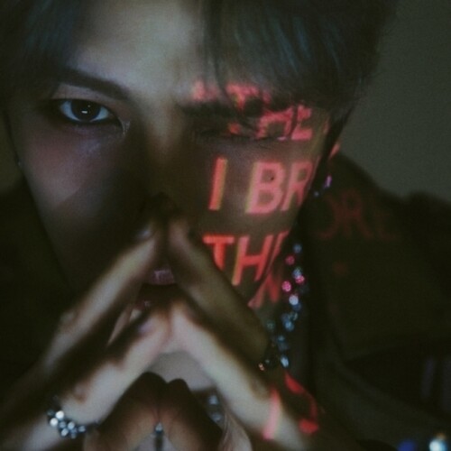 Beauty In Chaos - Photobook Album - incl. 60pg Photobook, 2 Bookmarks, Postcard, 2 Polaroid, Poster + Stickers [Import]