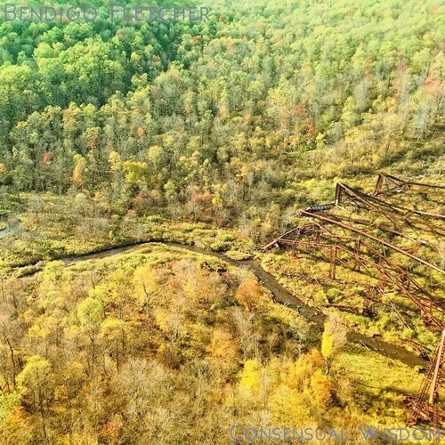 Consensual Wisdom - Beige