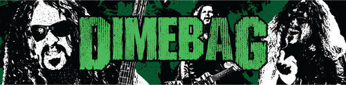 Pluginz - Dimebag Darrell - Faces - Magnetic Grill