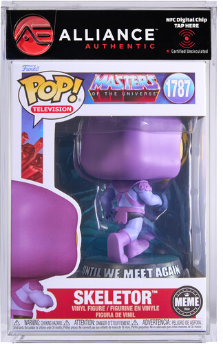 MASTERS OF THE UNIVERSE SKELETOR (MEME)