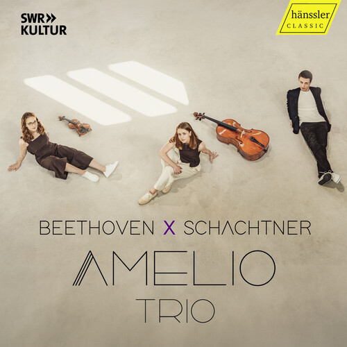 Amelio Trio Beethoven X Schachtner