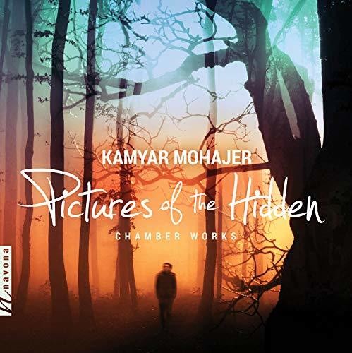 PICUTRES OF THE HIDDEN