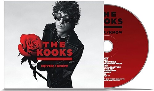 Artist - Never/know vinyl record cover