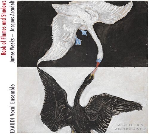 Book of Flames & Shadows