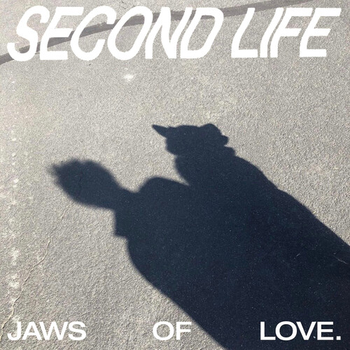 Second Life - Eco-Mix Colored Vinyl