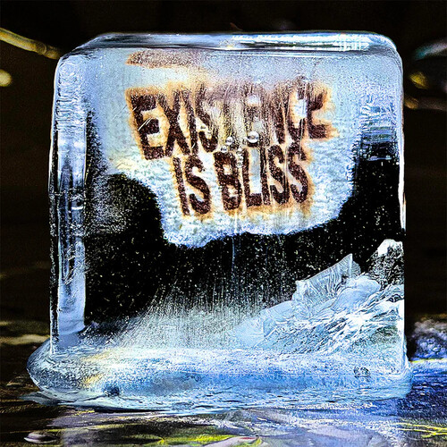 Existence Is Bliss - Autographed Transparent Glitter Colored Vinyl