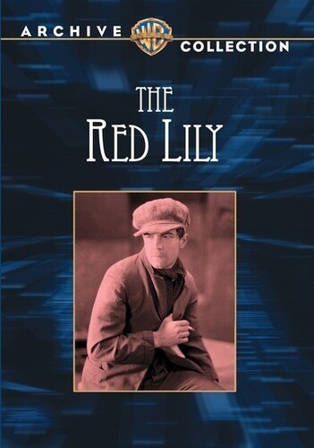 The Red Lily