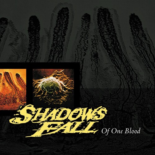 Shadows Fall - Of One Blood [RSD BF 2020]