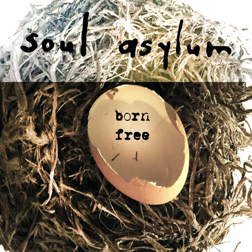 Soul Asylum - Born Free (10in)