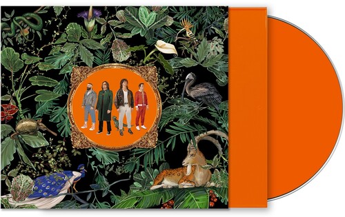 Don Broco - Amazing Things (Orange Jewel Case) [Limited Edition]