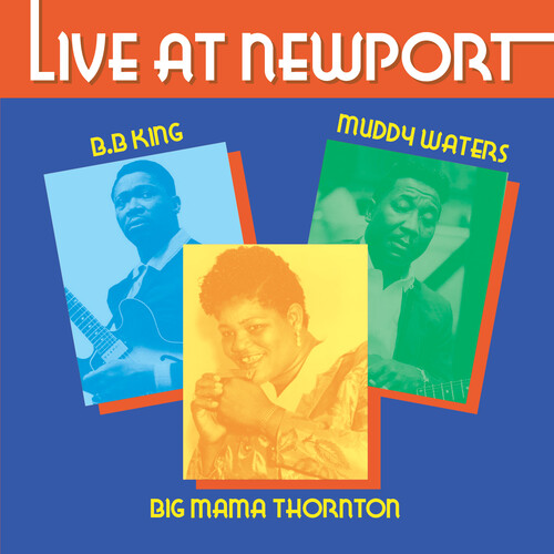 Live at Newport 1984
