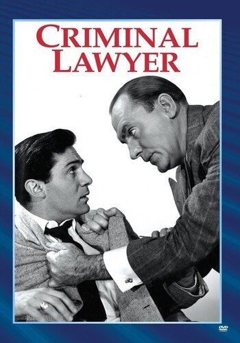 Criminal Lawyer