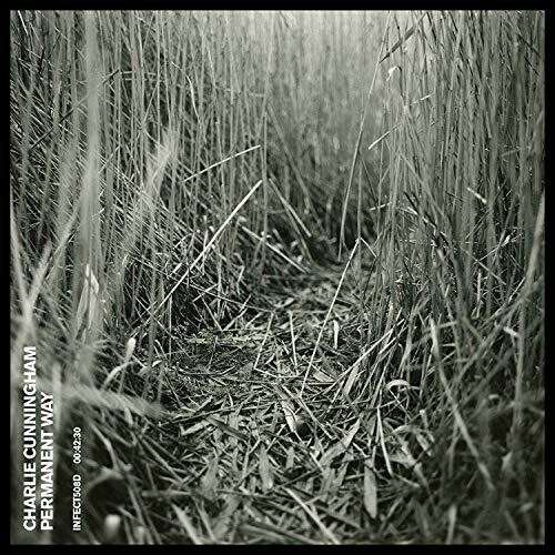 Charlie Cunningham - Permanent Way [LP]