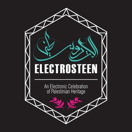 Electrosteen (Various Artists)