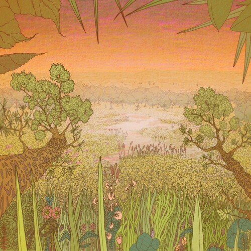 Pine Barons - MIRAGE ON THE MEADOW vinyl record cover